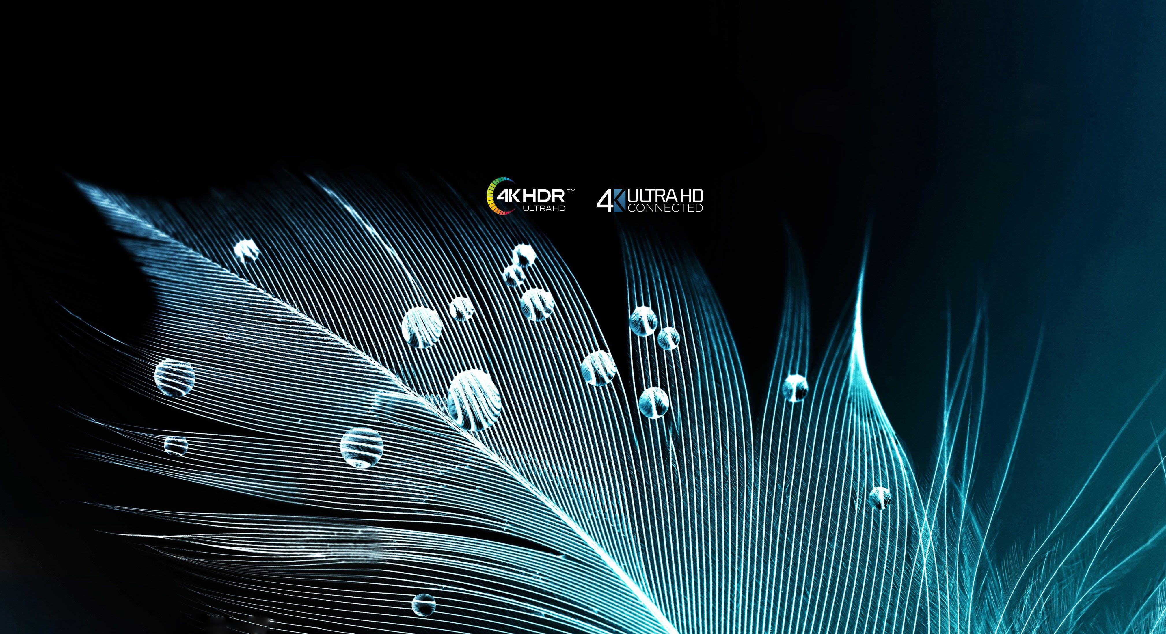 هایسنس 50B7100 با کیفیت تصویر 4K UHD