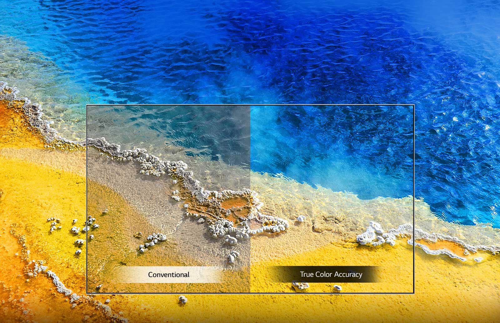 فناوری True Colour Accuracy در تلویزیون 55UM751