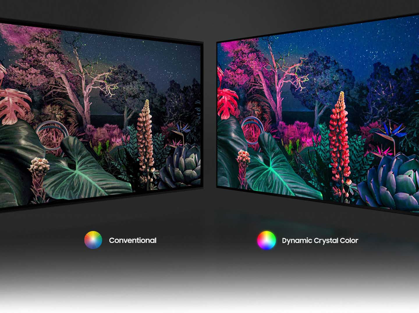 تلویزیون جدید سامسونگ 65AU8000 مجهز به تکنولوژی Dynamic Crystal Color