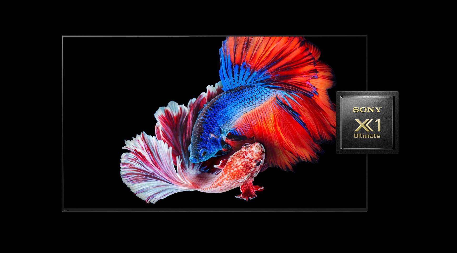 پردازشگر تصویر X1 Ultimate در تلویزیون 55 اینچ سونی A8H