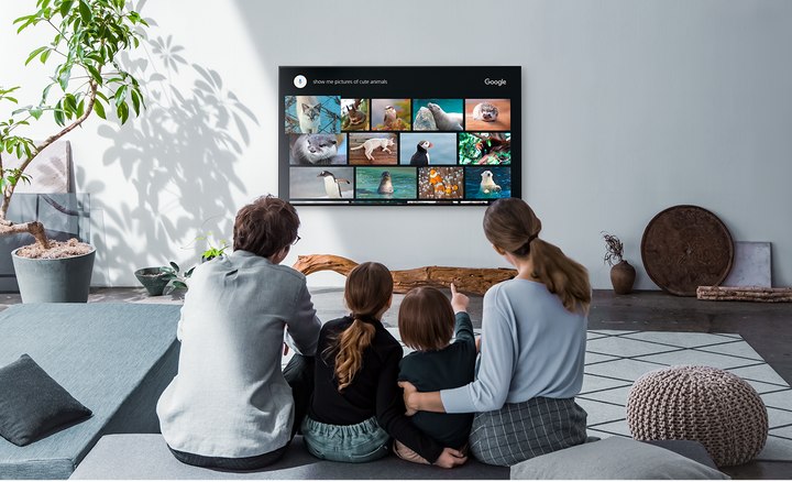جستجوی صوتی با ریموت کنترل 55X8577G