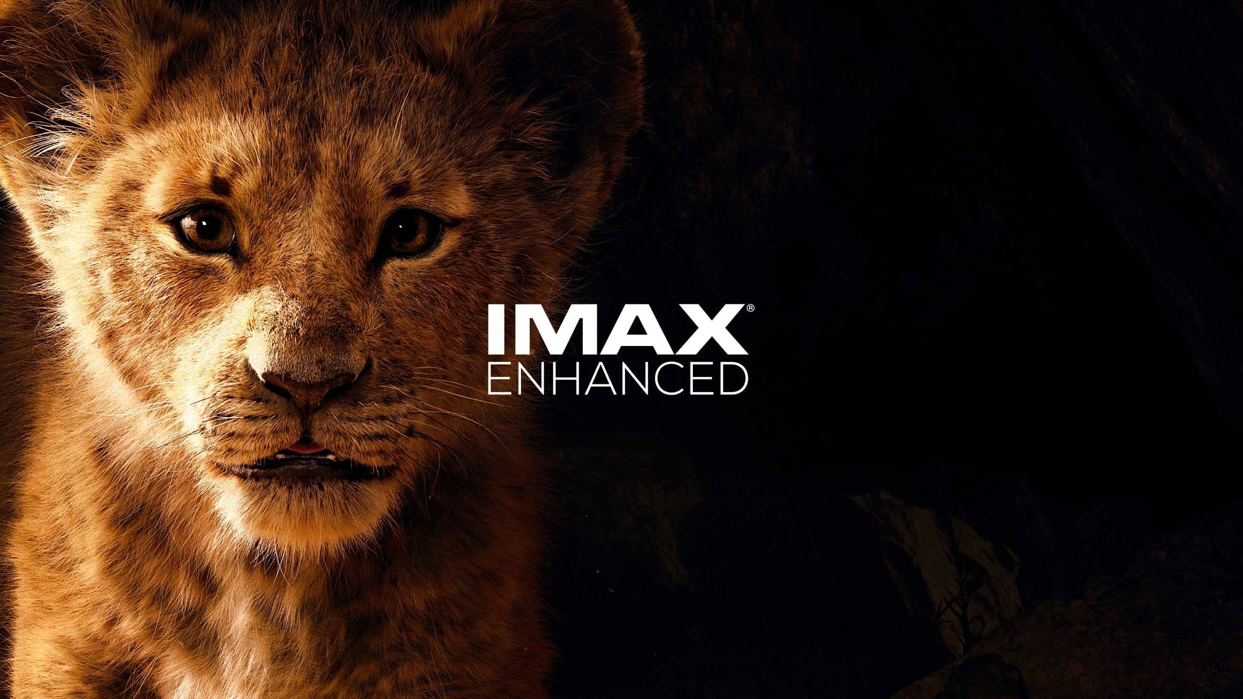 تلویزیون 75 اینچ سونی X95J دارای گواهینامه Imax